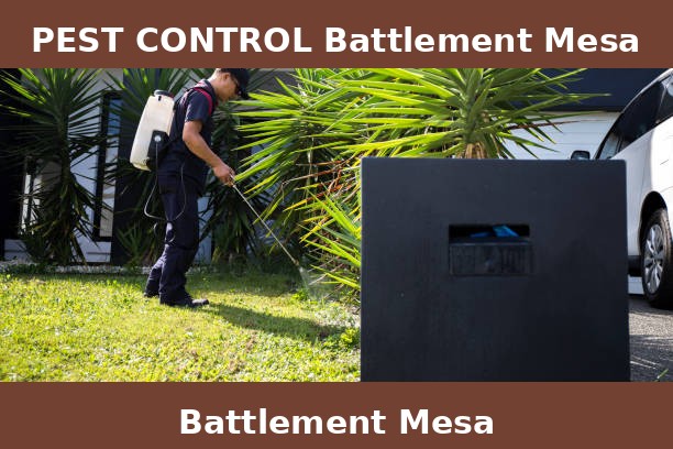 PEST CONTROL Battlement Mesa